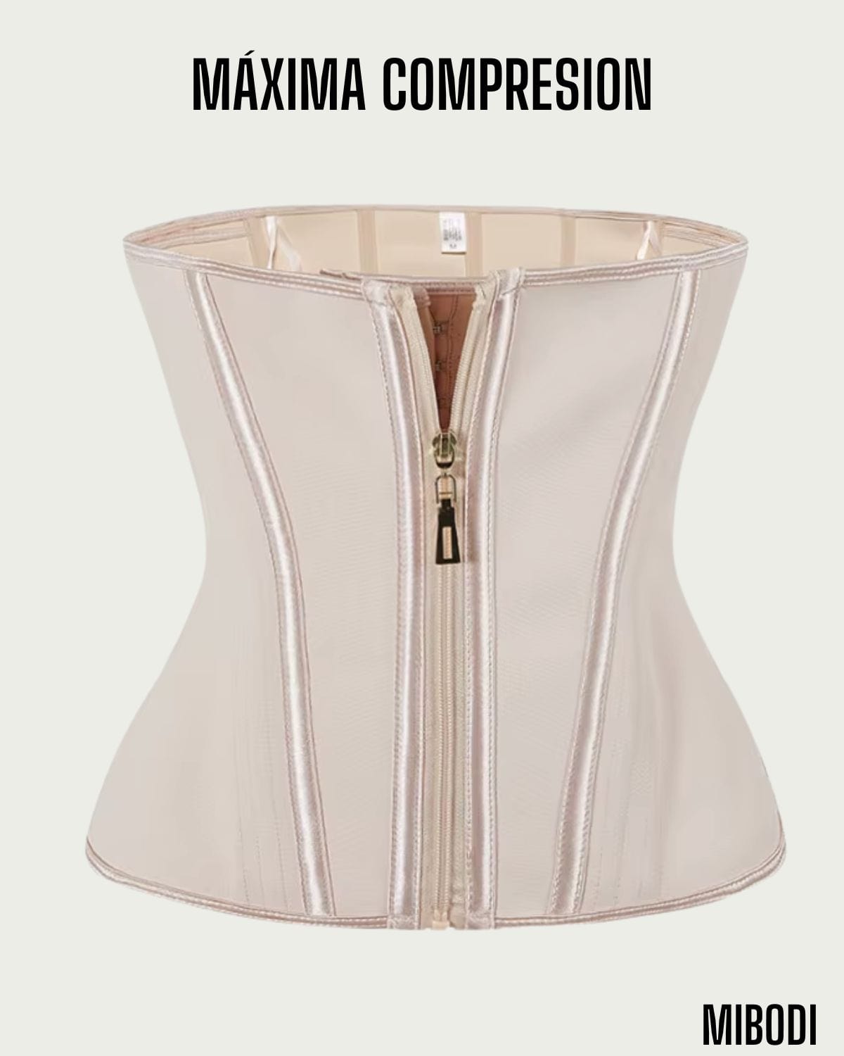 Cinturilla de Avispa 🐝  Xtreme